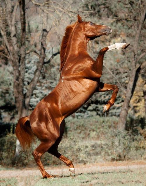 命中注定的夫妻真的一眼就知道了 夫妻的缘分真的是命中注定的吗 命中注定的夫妻真的一眼就知道了 夫妻的缘分真的是命中注定的吗