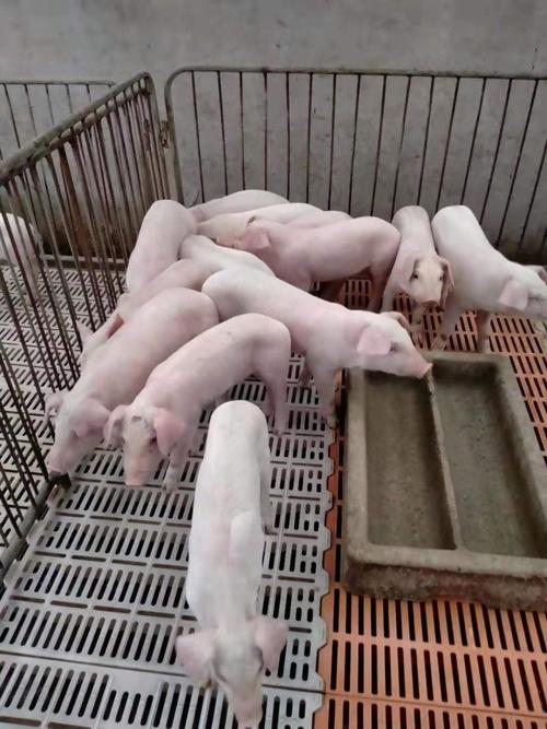 ��ЫŮ���������Я�ָ��ܹ������˽����� ��������������϶Ⱦ���Ӱ�찮������