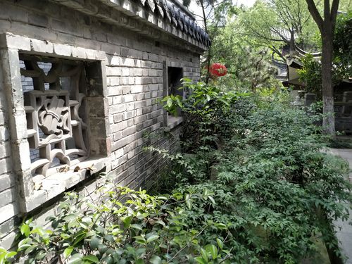 �����������_����������������Ӱ�����ǵĸ��鷢չ��