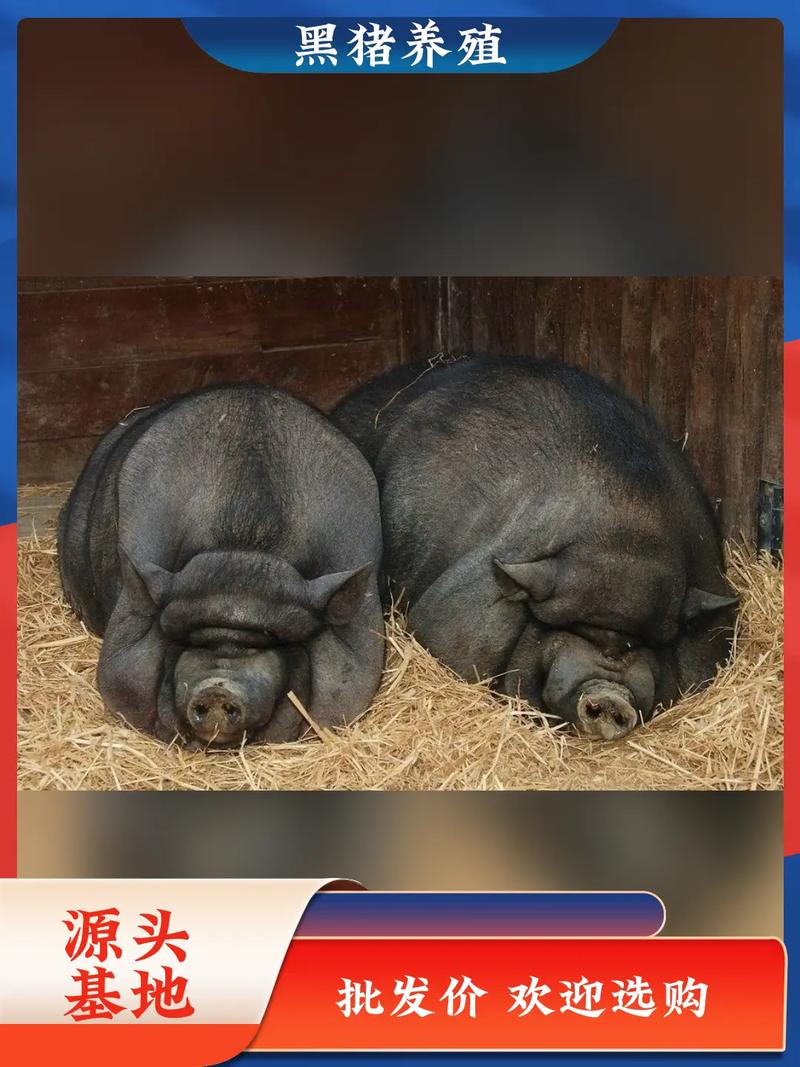 ȫ���·ݵı�ƴ�ȫ һ�µ�ʮ���¶�����Щ���