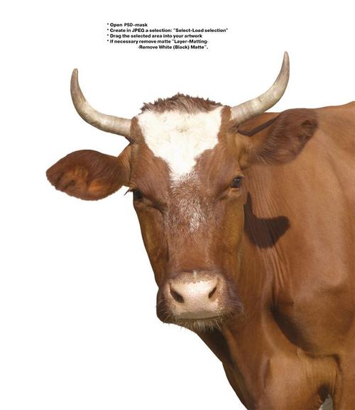 2025�ݳ���һ����