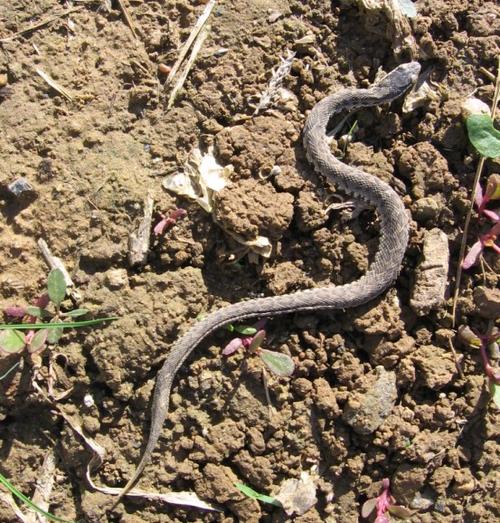 2026����������Ԥ����Щ�������˺�ͨ ��������֮��