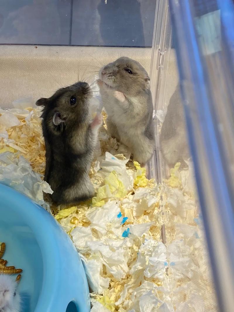 Ů�����������а��й�