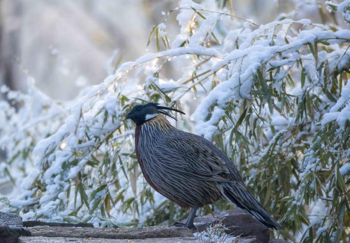 ��լ�����ˮ��ע������