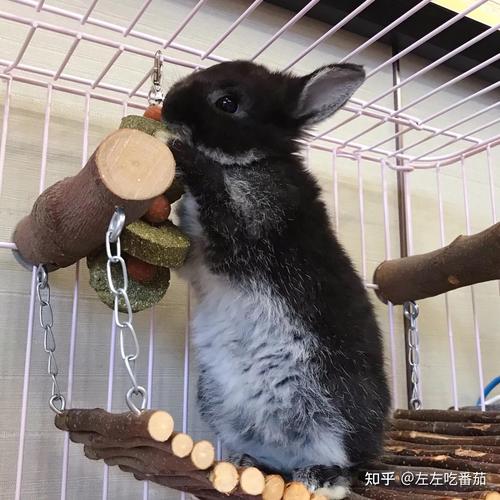 水灾厄运临头 八字算命里庚戌年藏着涓涓隐患 水灾厄运临头 八字算命里庚戌年藏着涓涓隐患