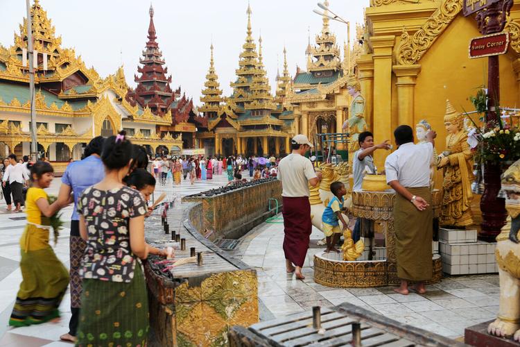 ����ֲ��ڷŷ�ˮָ�� ֲ��ѡ���벼���˼� �����г�Ӽһ���