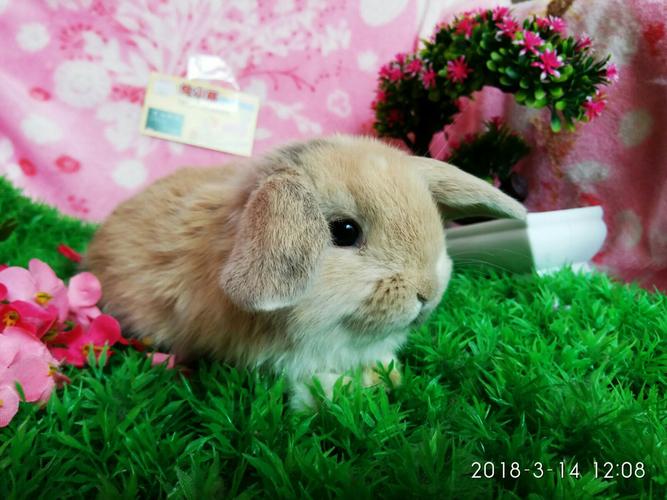 ��ʱ�����˻��������� ��ʱ���˵�Ů������