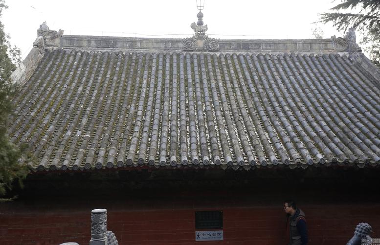 ��ɽ���赸(̨���ɽ���赸)