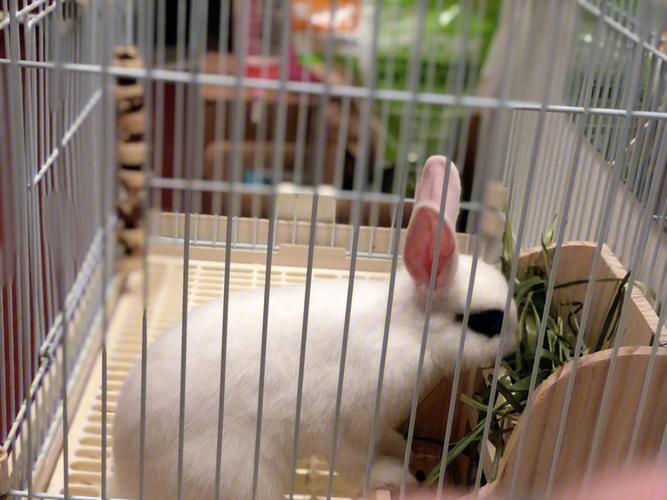 �����Դ��˾�����ܻ���ծ��ѹ��������(�����Դ��˾�����������ɹ�ծ���ѹ�)