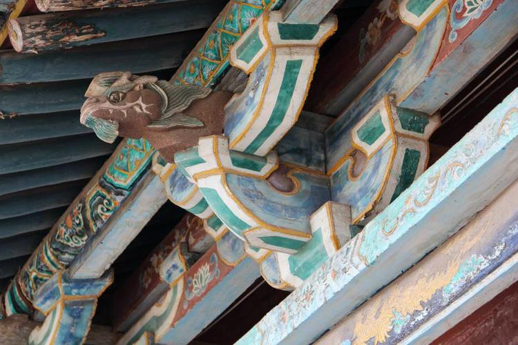 ʮ�������˵Ŀֲ���Ӱ