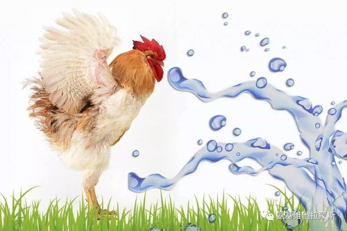 ���ָ�ӹ�_���ָ�ӹ�2����ͼ��