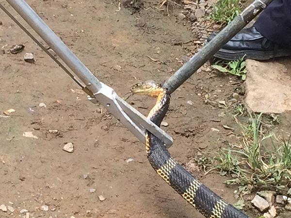 宋仲基真实性格有 宋仲基真实性格有