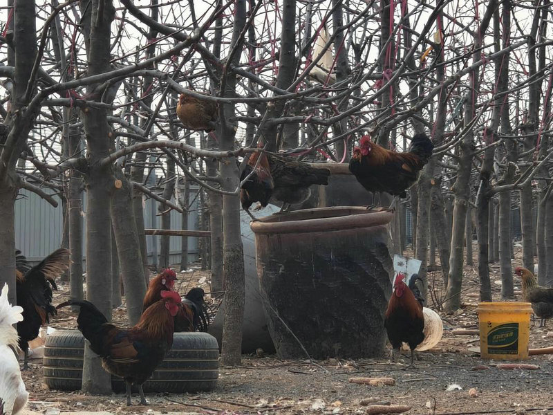 �ӹ�ʫ�������������б��� �����к�Ψ������