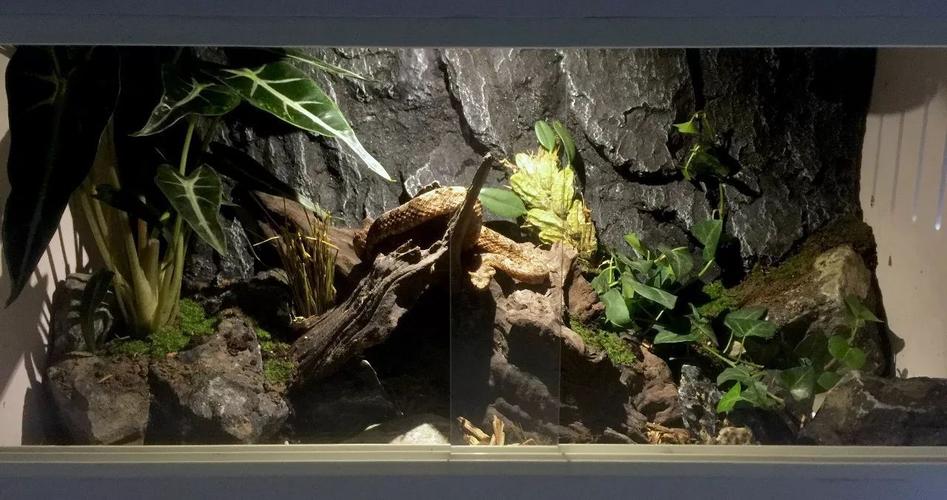 �������������ƺ���⼪���ܵ�Խ��Խ���˵Ĺ�ע������ ��������������������������ǻ���