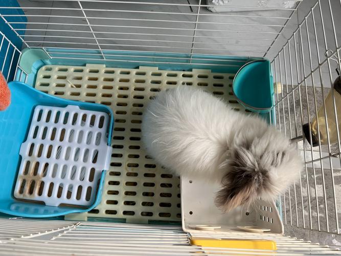 ���δ�ʦ ���δ�ʦС˵������