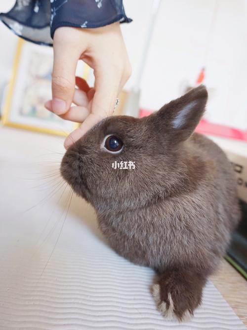 香港女明星颜值前十名 香港女明星颜值前十名