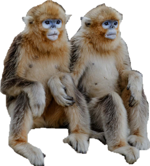 斗罗大陆动漫105集 斗罗大陆动漫105集