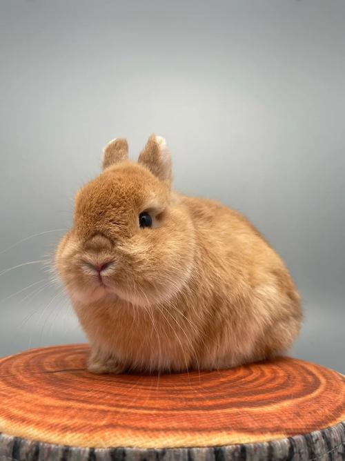 ��12��������Ҫע�������ЧӦ��ʲô