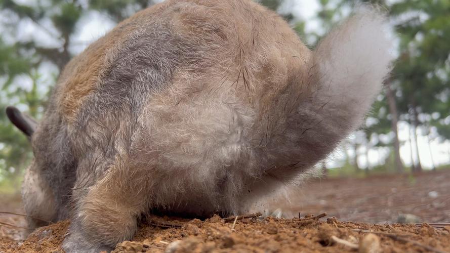 沈腾老婆和马丽怎么了 沈腾老婆和马丽怎么了
