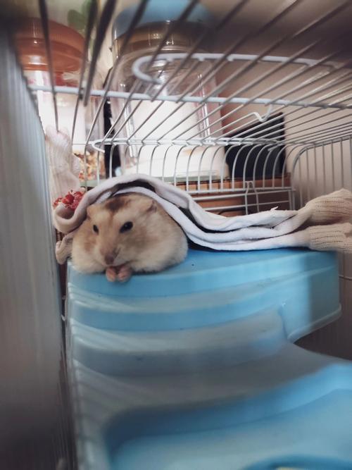 ��ǿ����������Ӱ���˼ʹ�ϵ��չ��(��ǿ��������Ӱ���˼ʹ�ϵ���ø�����)