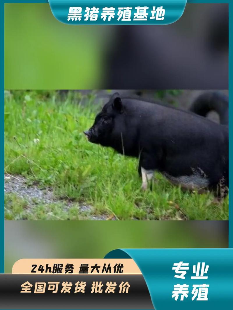 ����������Է�����ôд���ܸ������������˵��Ը��δ�����ദ��ʽ���˸е�������