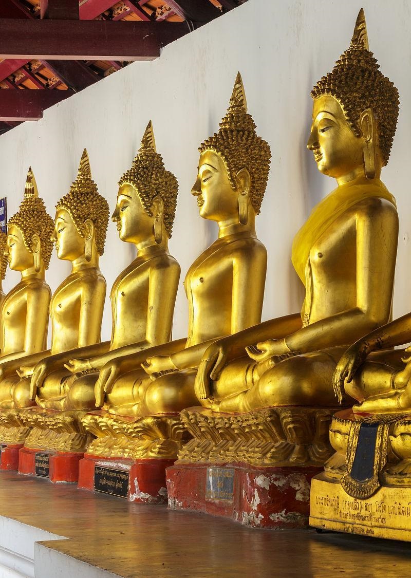 ����˵��ϲ����׼ȷԤ����ż��ò��(����˵��ϲ��ż��ò�������߻����Ҹ���)