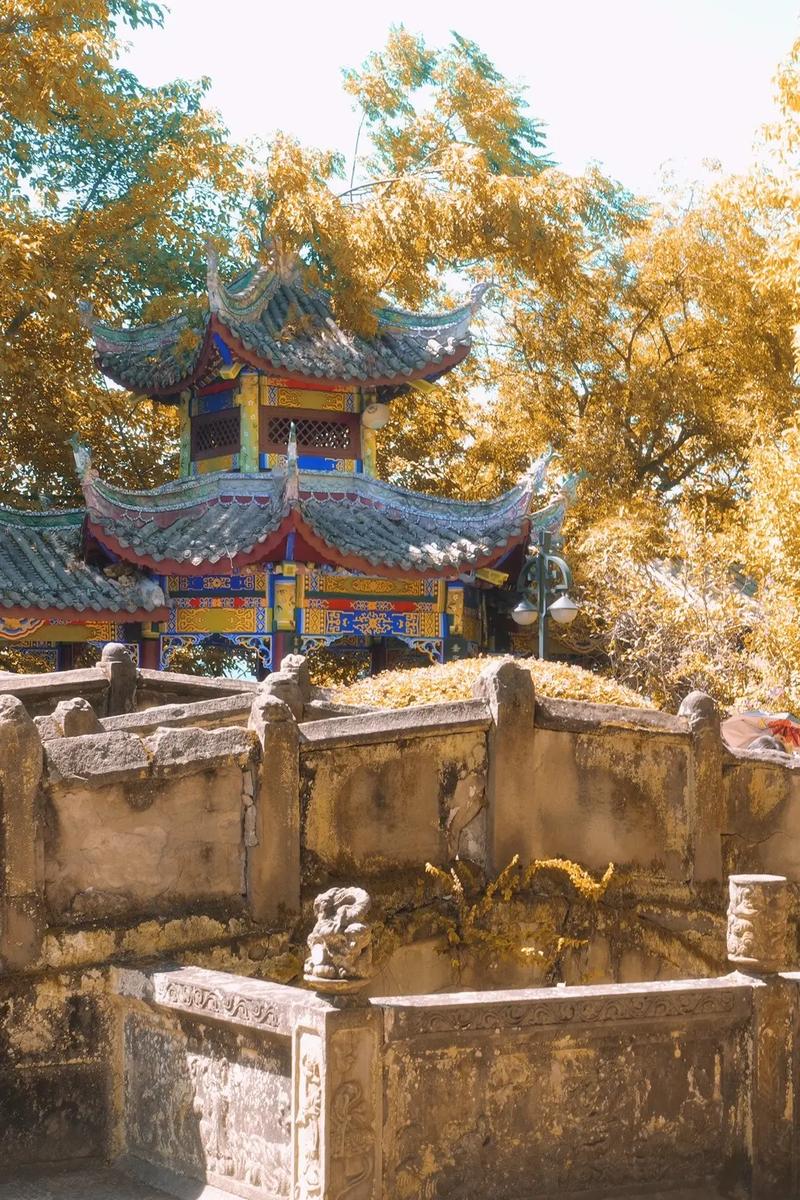 è��ð�ռ� èèð���Ź���