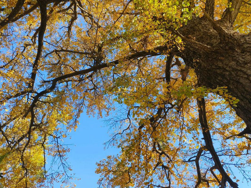 ������������ ����������ѵ�������վ