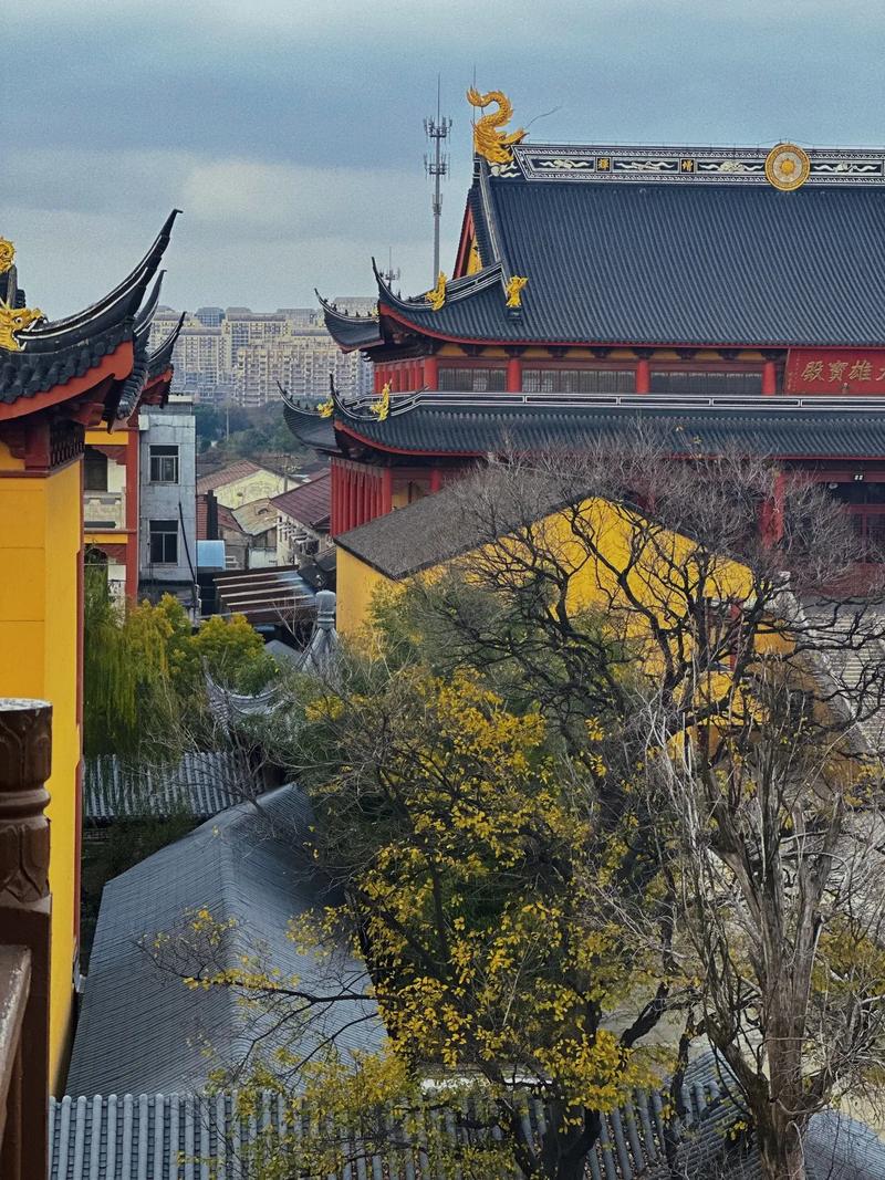 中国和我同名同姓的人在伴侣关系中频繁出现冲突(中国和我同名同姓的人在伴侣角色中遭遇冲突) 中国和我同名同姓的人在伴侣关系中频繁出现冲突(中国和我同名同姓的人在伴侣角色中遭遇冲突)