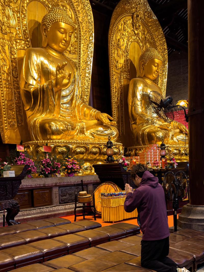 2026��11�³����ĺﱦ��������ȫ