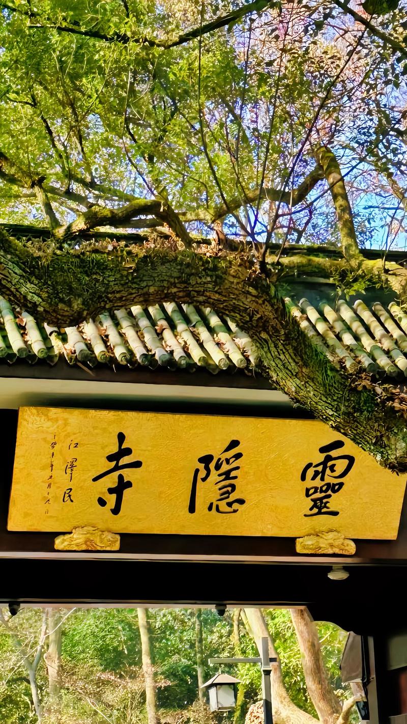 农村建房风水指南 选址布局与运势解读 农村建房风水指南 选址布局与运势解读