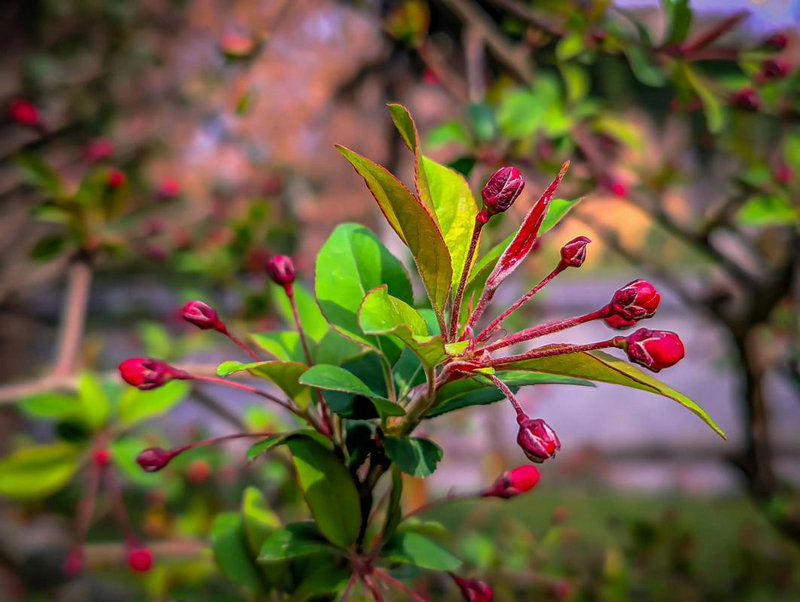 ������˳�İ�����Ա�_Ϊɶ���������߱��� 