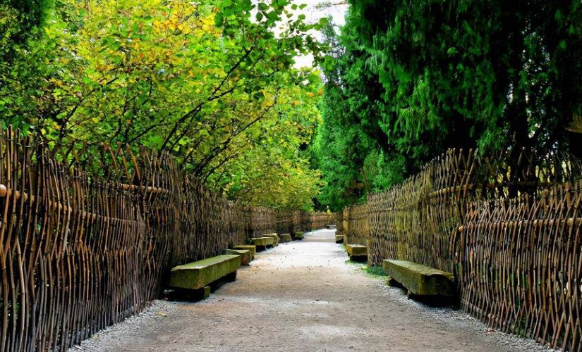 赵奕欢素颜_赵奕欢素颜照 赵奕欢素颜_赵奕欢素颜照