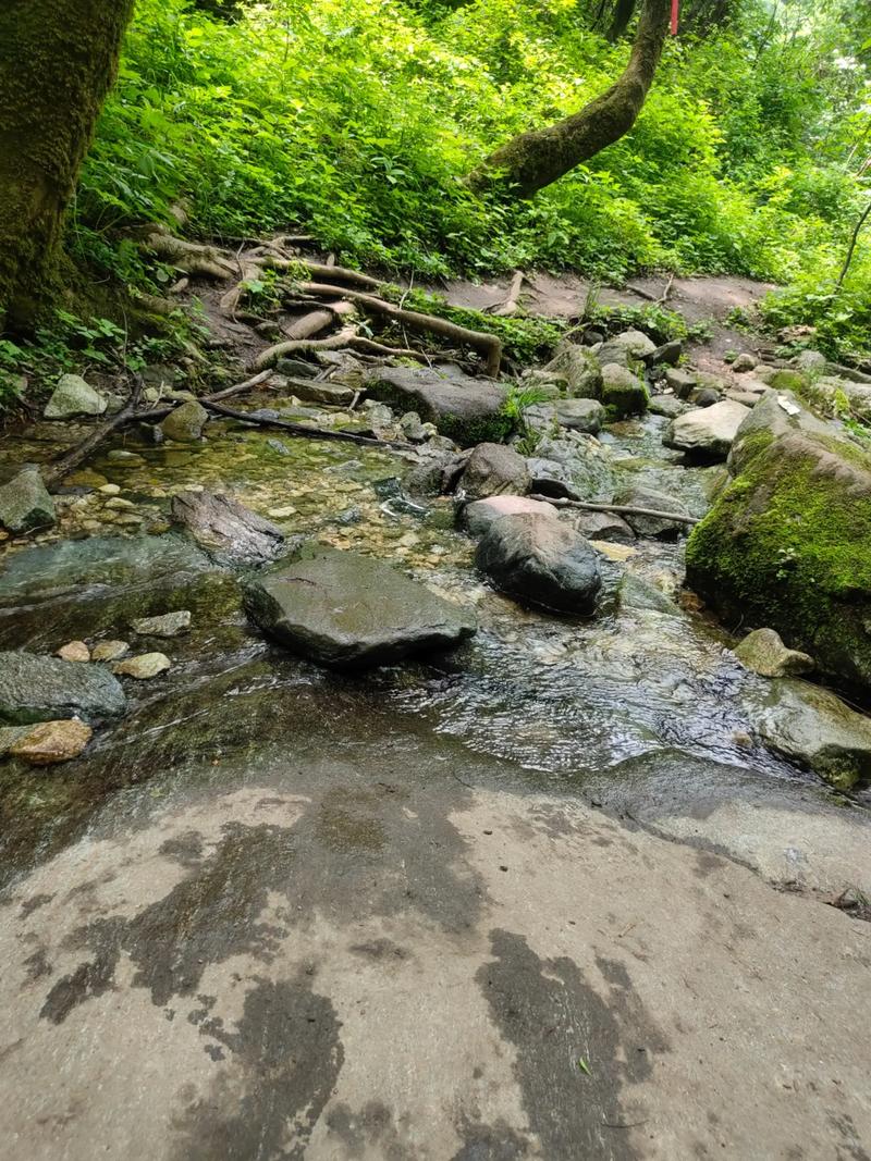 ��ϲ��С�� ��ϲ��С�׵��Ӿ�ʲôʱ����