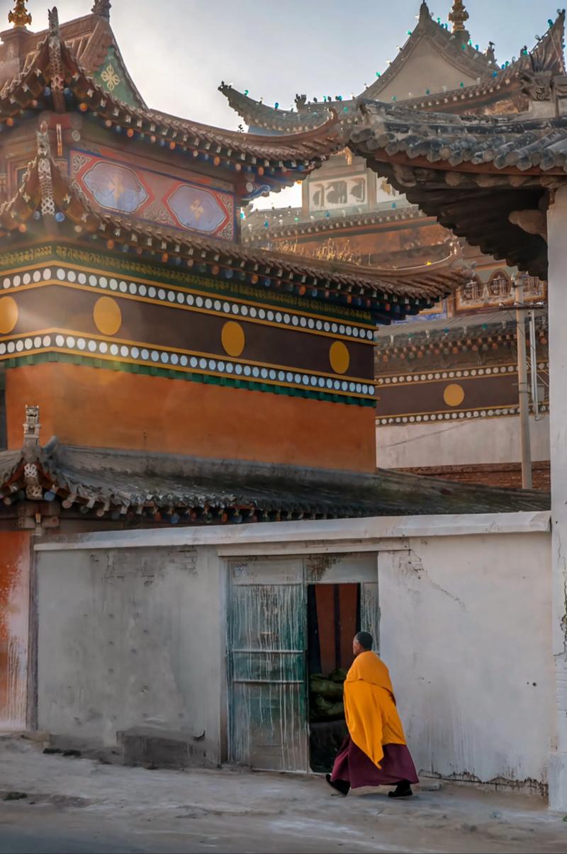 女明星陪大佬都干什么 女明星陪大佬都干什么