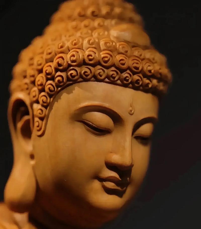 ��������������߲����ܷ�����гɳ�������(��������������߲����ܷ�������ǽ����гɳ��е�����)