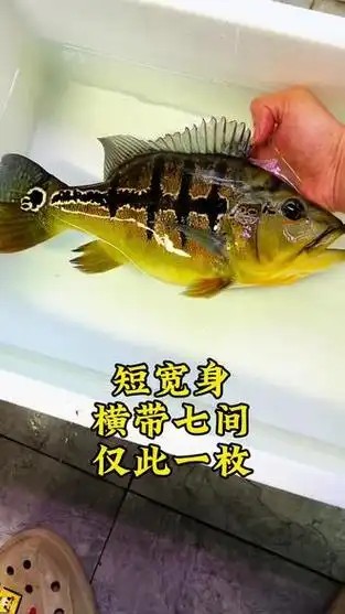 星座配对中那些让人忧心忡忡的注定纠缠一生组合 也在其中 星座配对中那些让人忧心忡忡的注定纠缠一生组合 也在其中