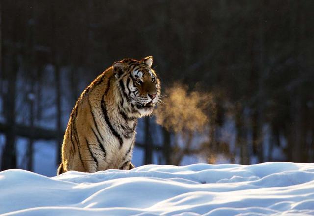 �������������Ի����ż�Ը����������Ӱ����(�������������Ի����ż�Ը����ʲôӰ����)