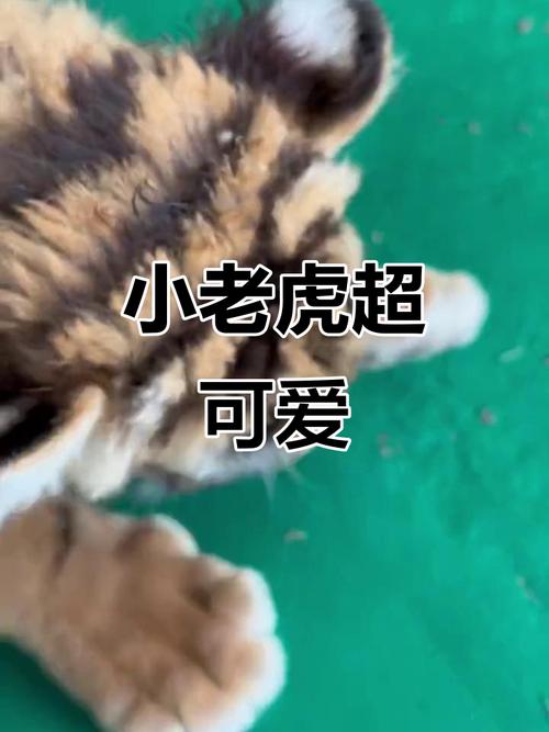 Ԭ��Ů����������Ӱ��������������������(Ԭ��Ů�����������������ȶ�����Ȼ��Ϣ)