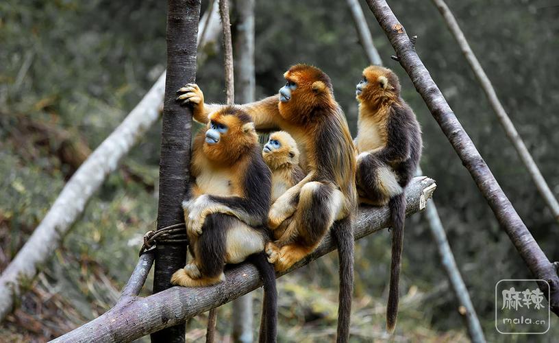 Ů��ȱ������������Ӱ������δ������ϰ�ߺ���Ϣʱ��(Ů��ȱ������������Ӱ��������Ϣʱ���δ����չ)