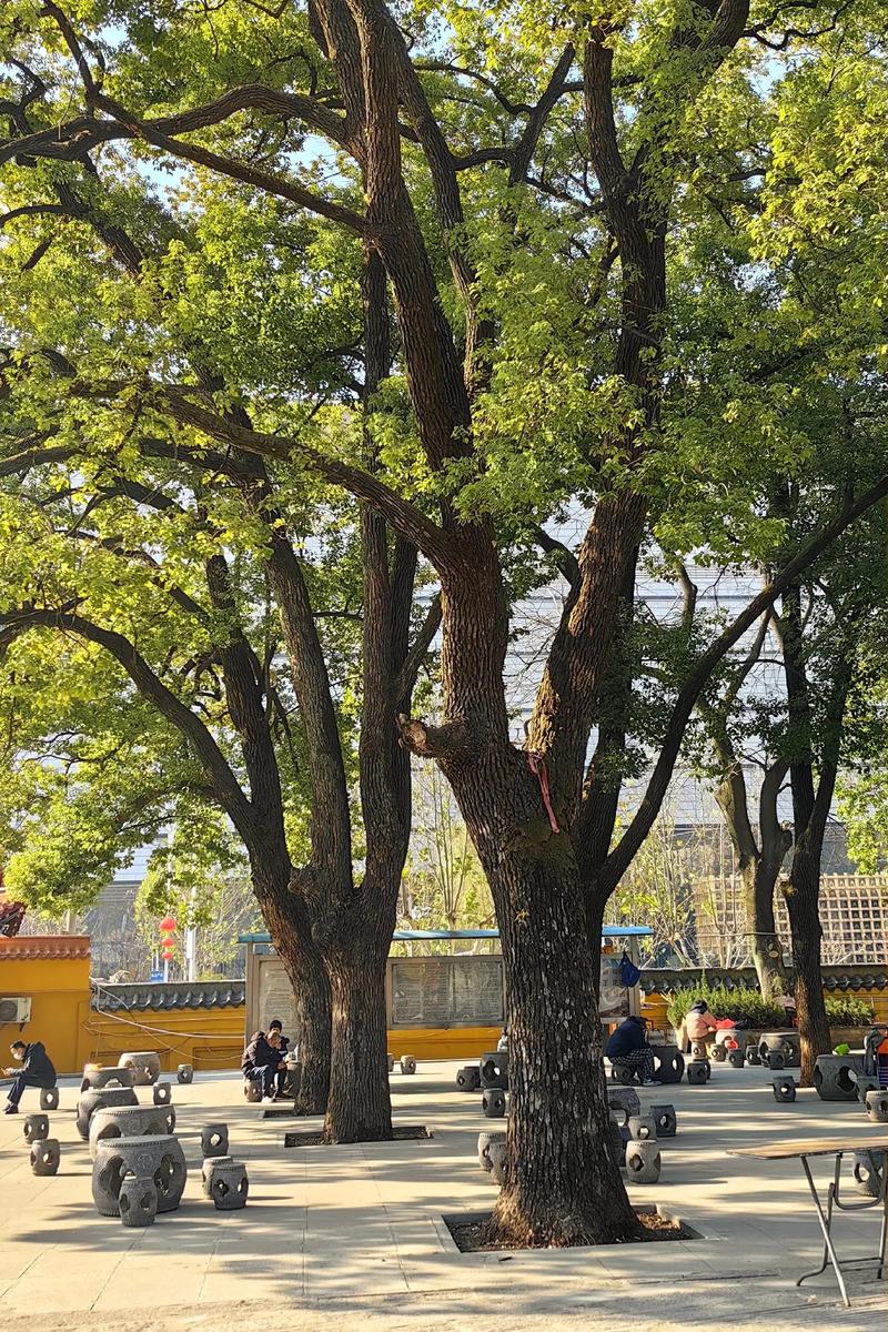 ��������������ڽ������������������ʱӦ��ע����ЩǱ�ڵĻ�������