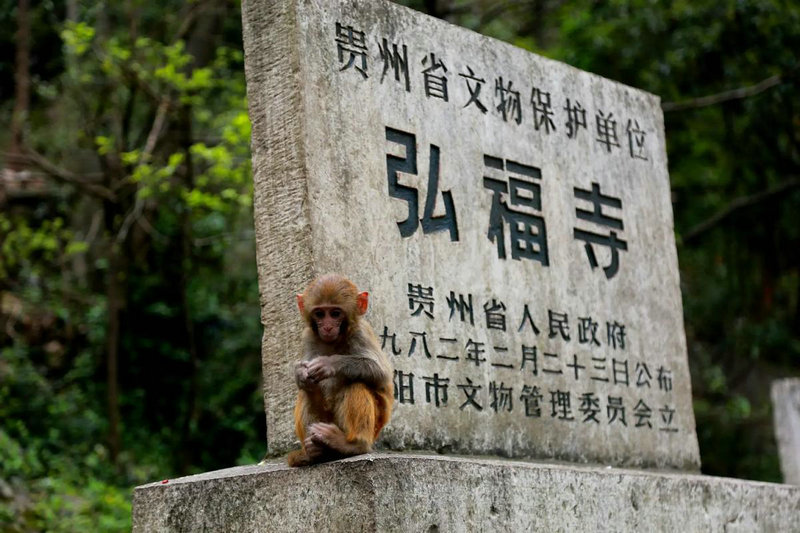 ����Դ���Ʋ鼪�����������׼ȷԤ�⳵��δ��������