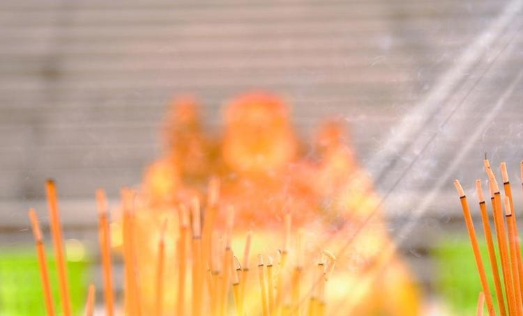 ��֯��˾�����ܷ�����������Ƶ������븣������(��֯��˾�����ܷ��������������������������)