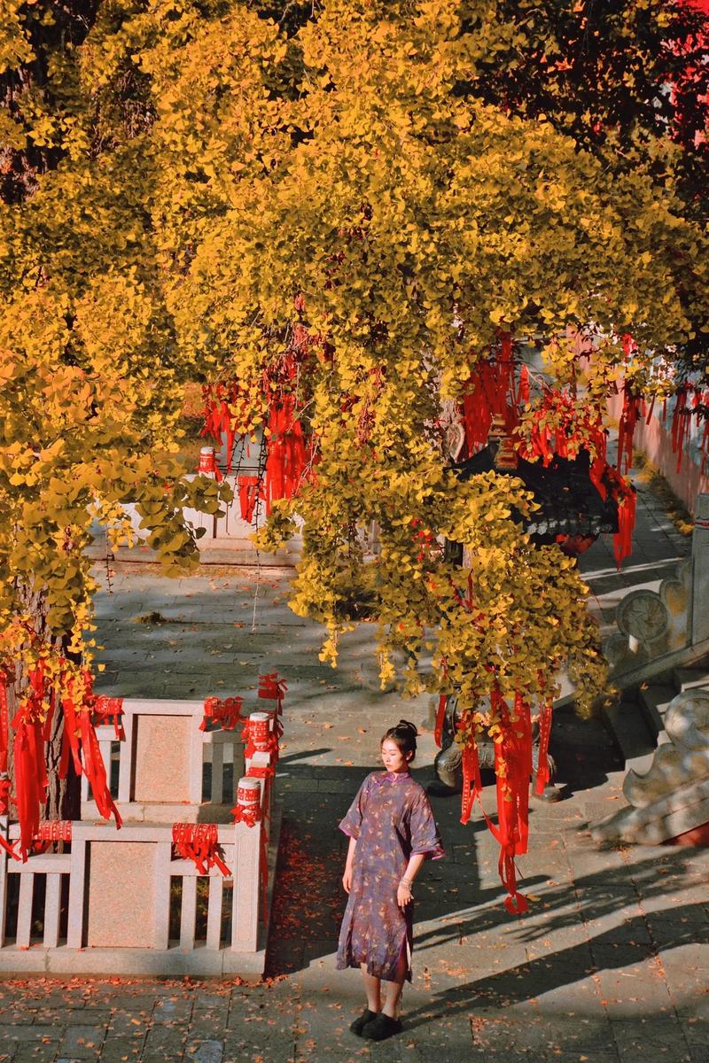 吴卓羲2025年新剧 吴卓羲2025年新剧