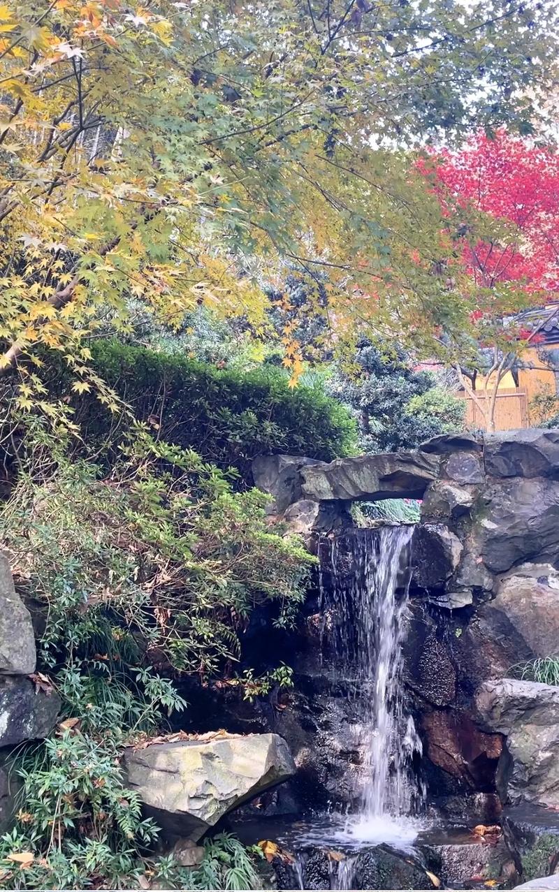 ���ǵ����� ���ǵ������ս