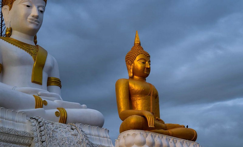 扎克施耐德 扎克施耐德三部曲 扎克施耐德 扎克施耐德三部曲