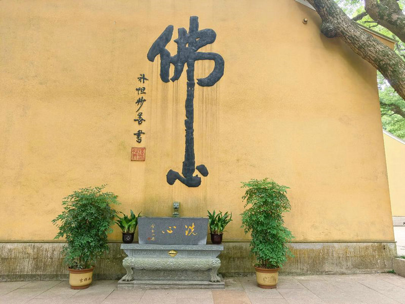 ��Խ���ݵĵ��Ӿ�ں�