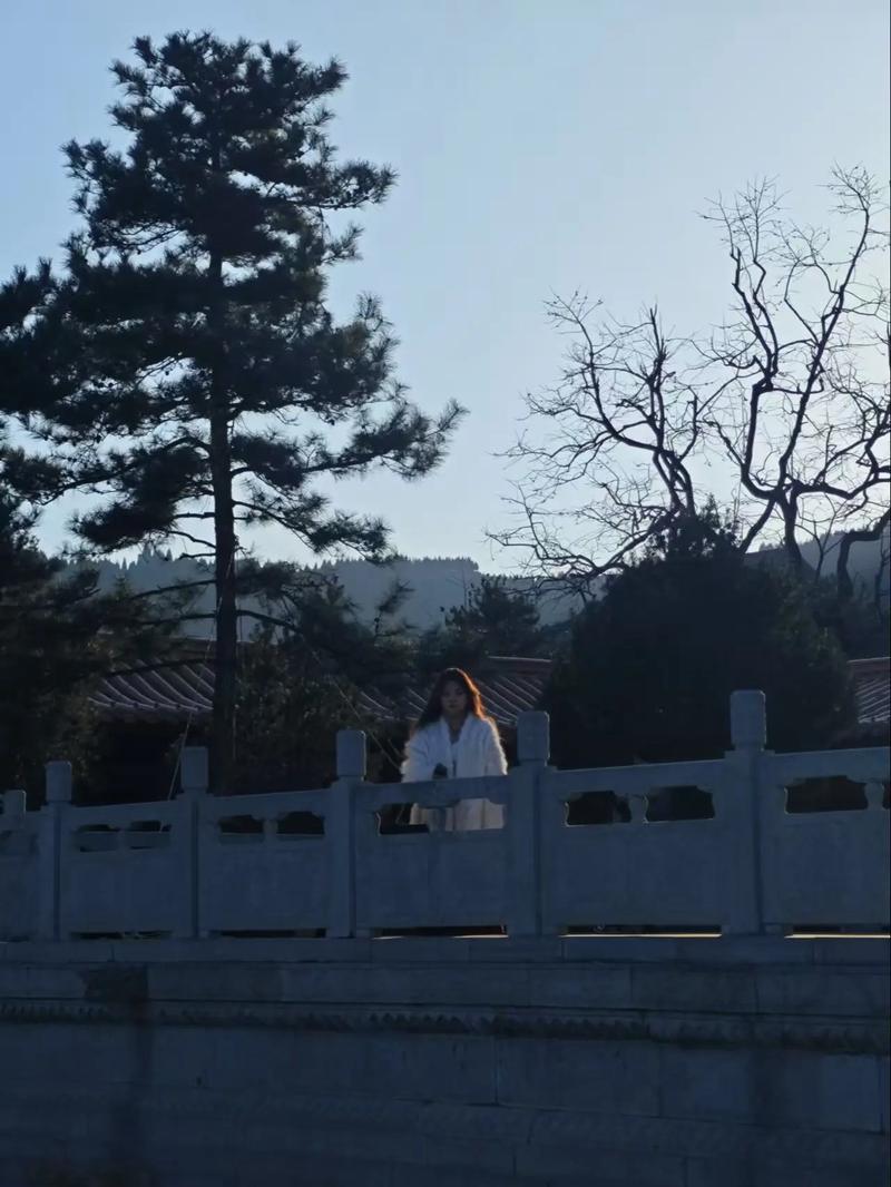 �ֻ������������ձ������׼ȷ��ӳ��������������