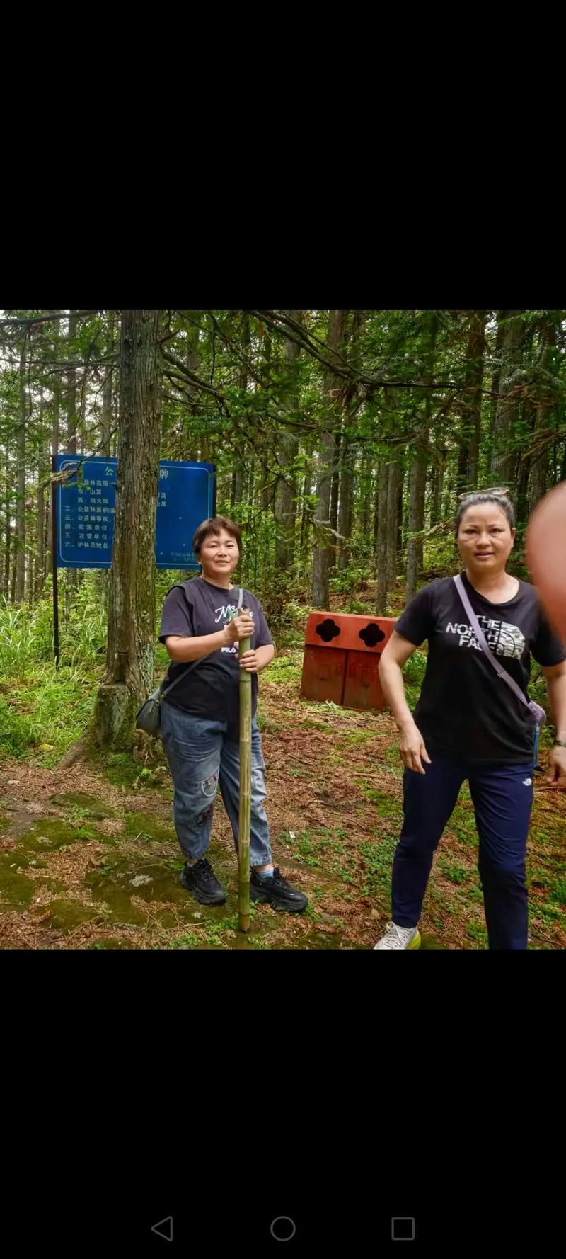 八卦风水万物类象之巽宫 八卦风水万物类象之巽宫