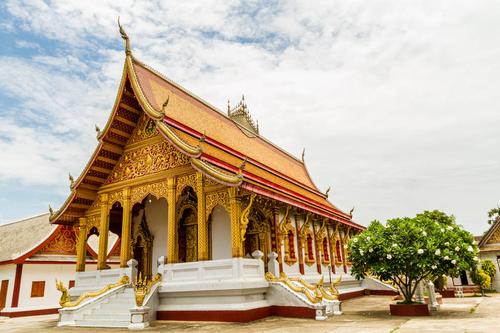茶叶店名字高端独特 茶叶店铺起什么名好 茶叶店名字高端独特 茶叶店铺起什么名好